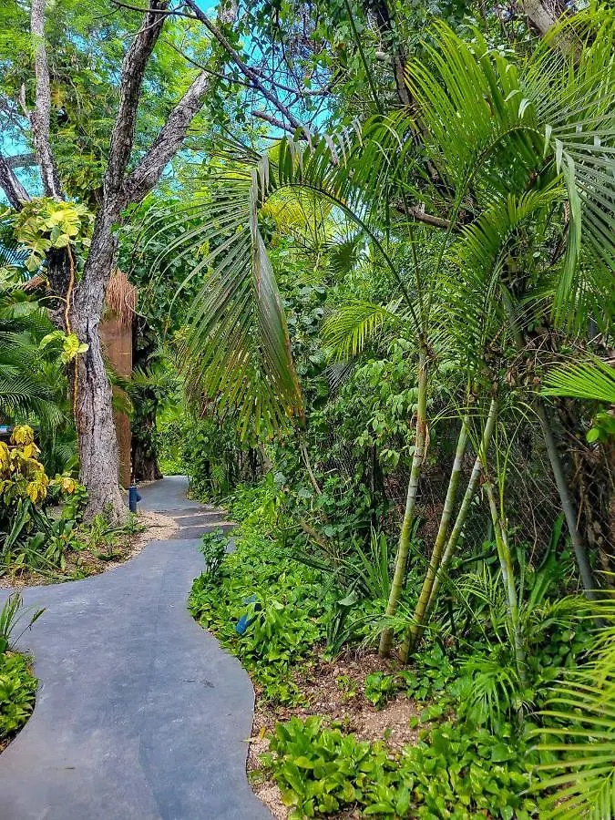 Maui Hostels Tulum